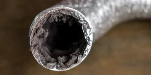 Close-up of dirty dryer hose